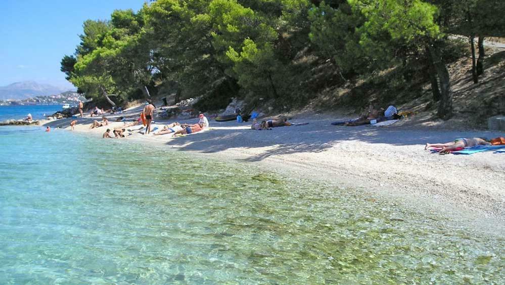 Gogi Apartman Donji Okrug  Εξωτερικό φωτογραφία